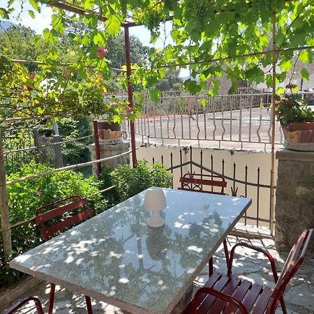 Apartments Kovacevic Petrovac Bilik gambar