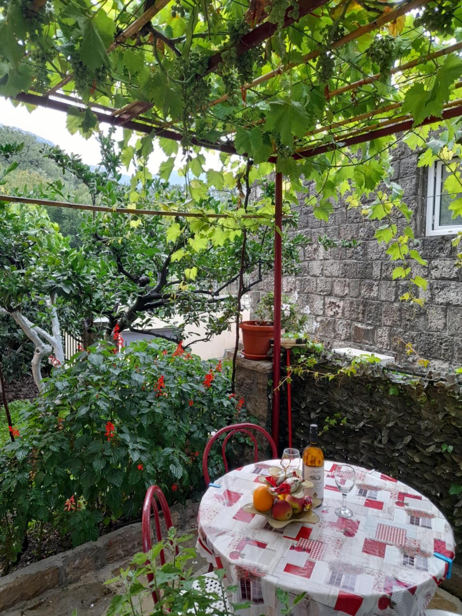 Apartments Kovacevic Petrovac Bilik gambar