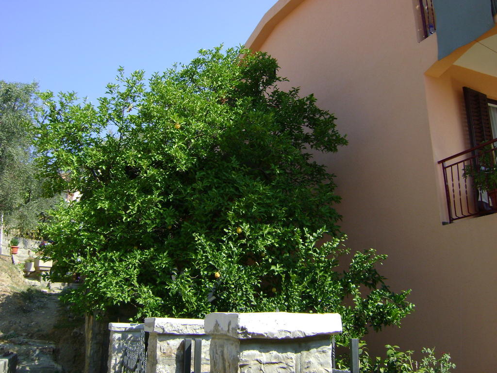 Apartments Kovacevic Petrovac Luaran gambar